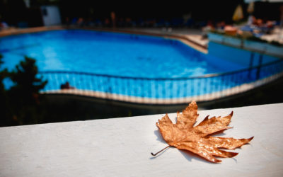 Projects to Consider After Closing Your Pool