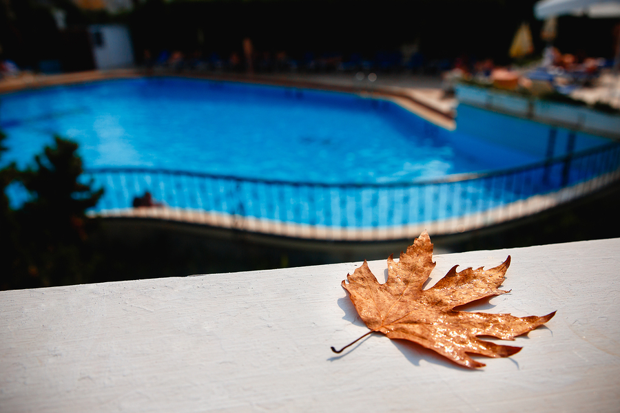 Projects to Consider After Closing Your Pool