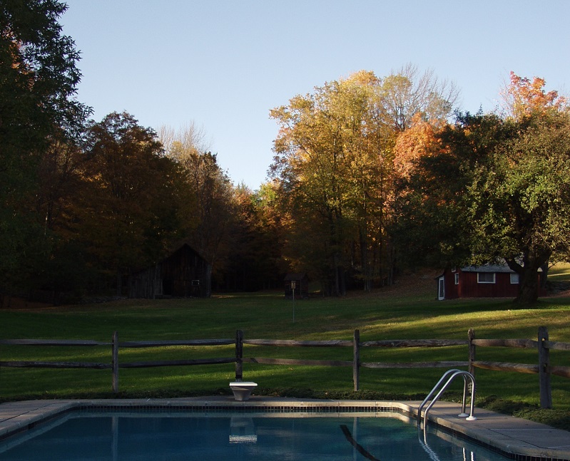 you need pool maintenance year round